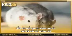 Nằm mơ thấy chuột đánh con gì? Giải mã giấc mơ trúng lớn